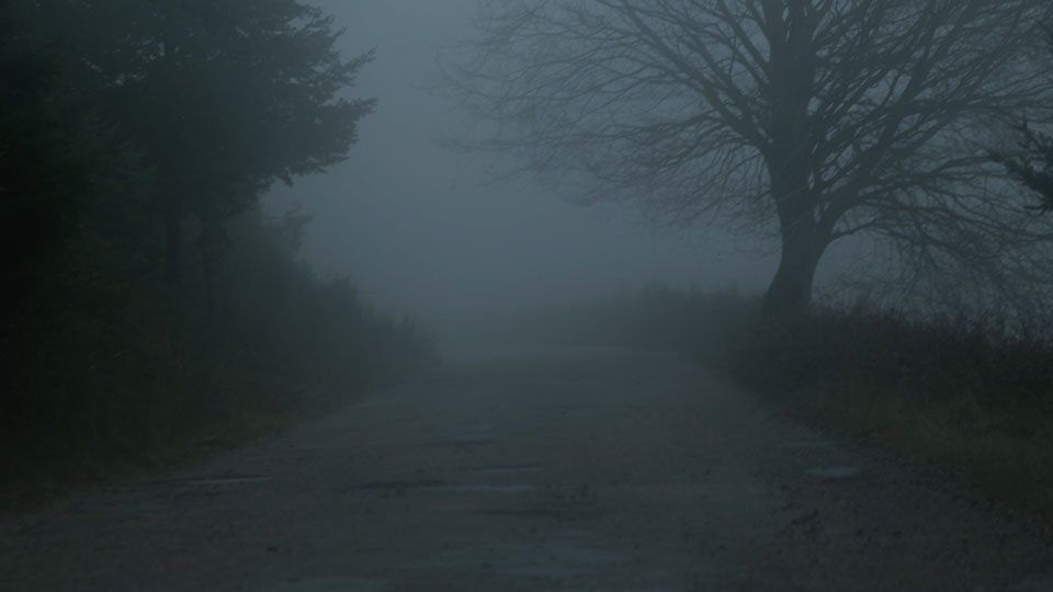SOMA forest